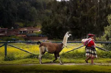 Basic Peru Information: A Complete Guide to the Land of Ancient Wonders and Timeless Beauty | Andean Travel Experience