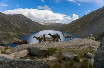 Qhapaq Ñan: Walking the Royal Road of the Incas Across the Andes | Andean Travel Experience