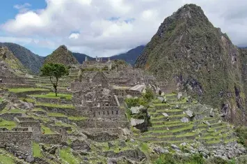 Machu Picchu Inca Ruins Rocks Stairs Green scenary | Andean Travel Experience