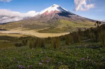 Things to Do in Ecuador: The Ultimate Travel Guide from the Andes to the Galápagos | Andean Travel Experience