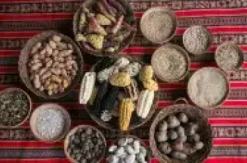 Gastronomy Perú