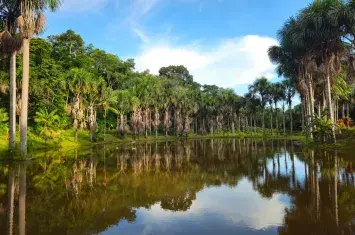 Best Time to Visit Puerto Maldonado