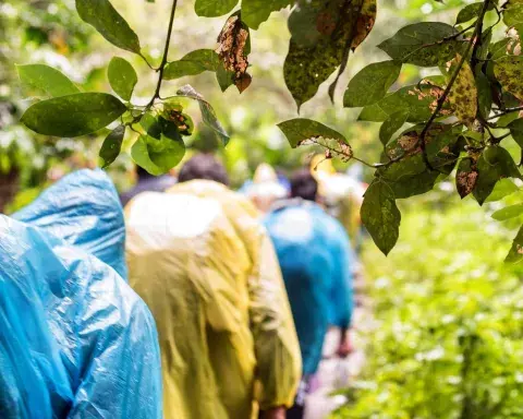 Inca Trail Trek | Andean Travel Experience