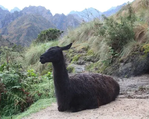 Beautiful view of the Inca Trail | Andean Travel Experience.