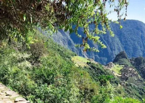 Stunning view of Machu Picchu from the Inca Trail | Andean Travel Experience.