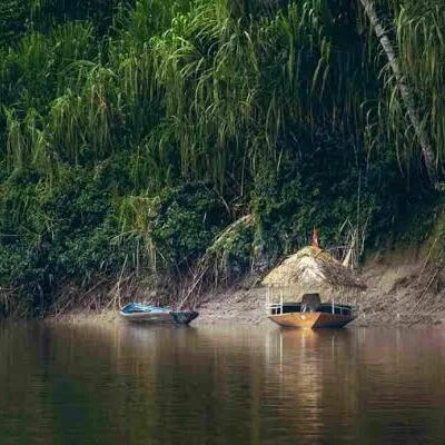 Amazon Tambopata National Reserve Peru Tour | Andean Travel Experience