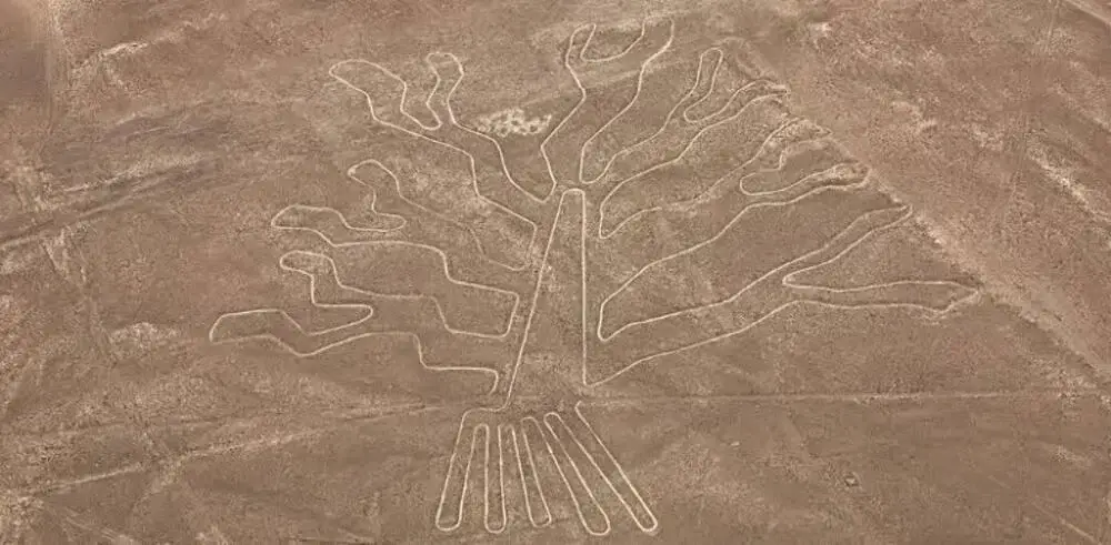 The Tree Inca Nazca Lines in Peru | Andean Travel Experience