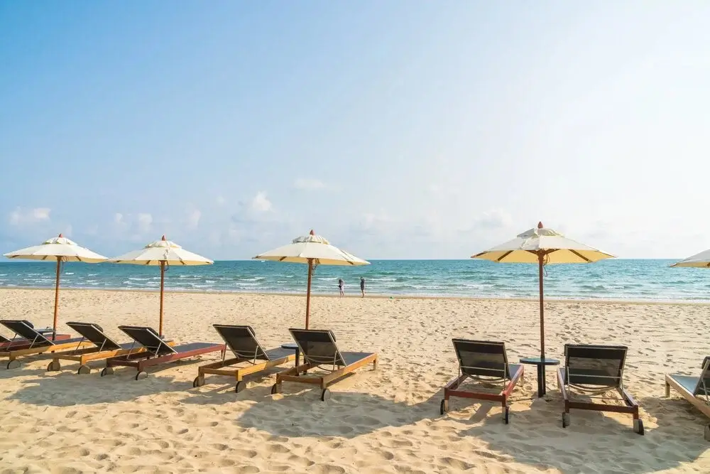 Tropical beach with golden sand, gentle ocean waves, and palm trees under a bright blue sky. | Andean Travel Experience