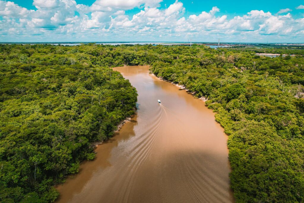 Amazon River Cruise Peru